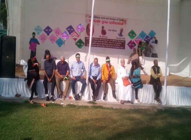 Kite Festival at Sadvichar Parivar